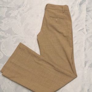 Express Editor Taupe/Brown Bootcut Slacks